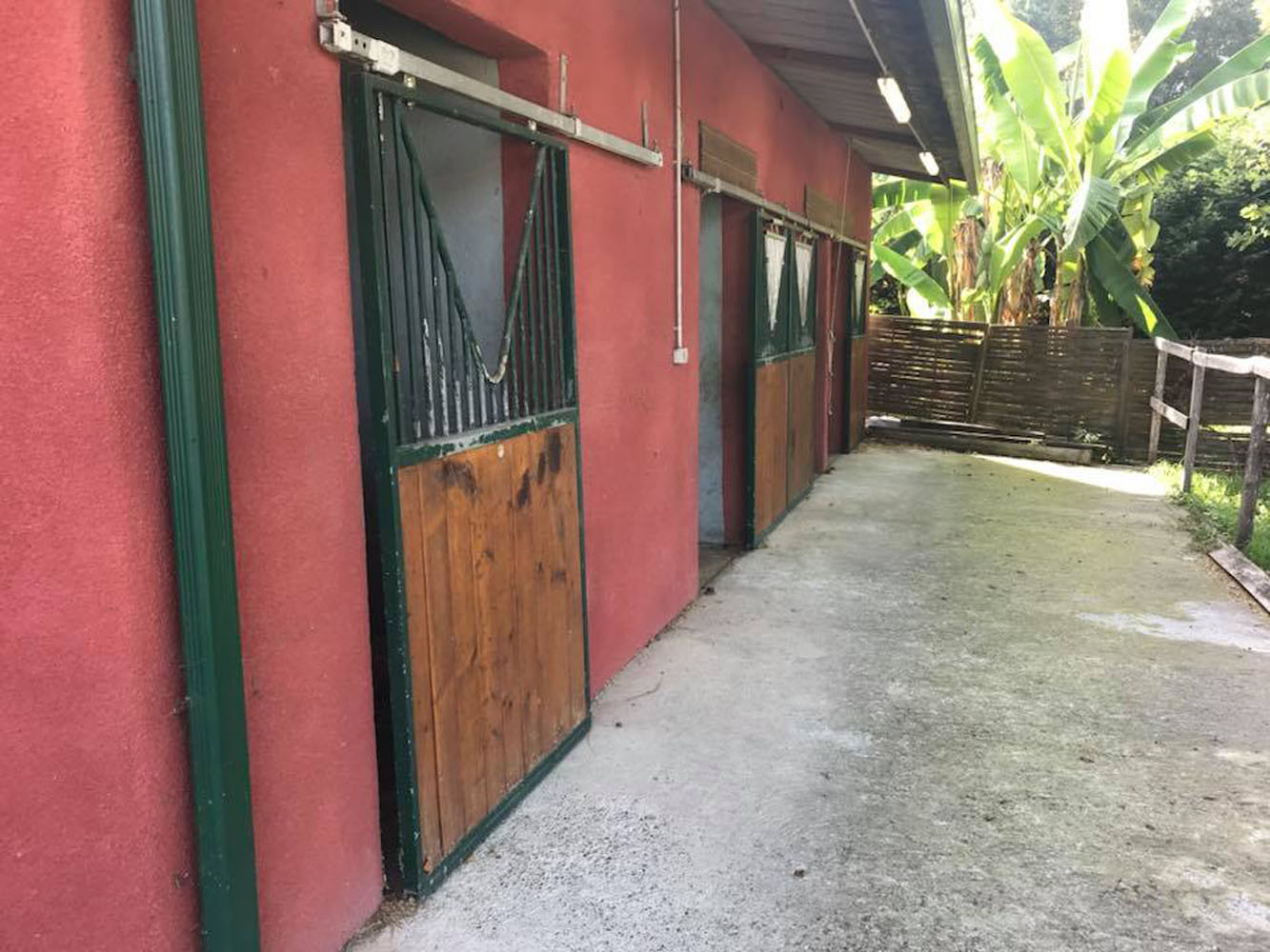 Clinique Equine de Sers - Visite d’achat